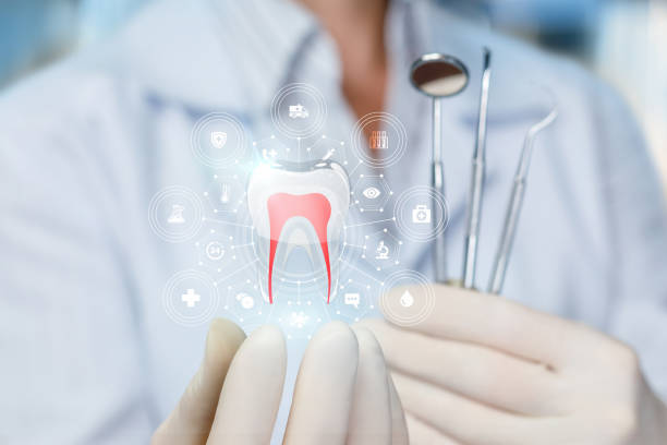 Professional Holistic Dental Care Services in Sonoma State University, CA